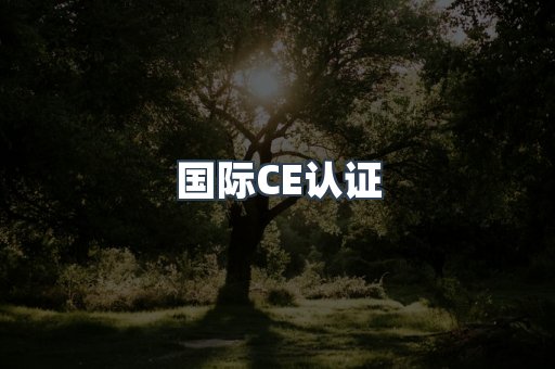国际CE认证
